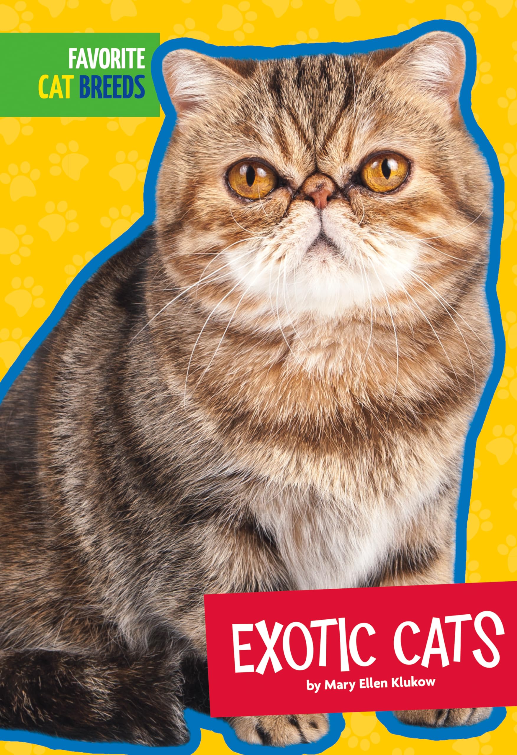 Top 10 Exotic Cat Breeds for Pet Lovers - Rare & Beautiful Feline Companions for Home & Family