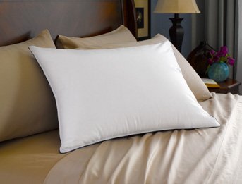 Pacific Coast Touch of Down Queen Pillow Set (2 Pack) - Premium Hotel Quality Down Alternative Pillows for Ultimate Comfort - Perfect for Bedroom, Guest Room & Luxury Hotels