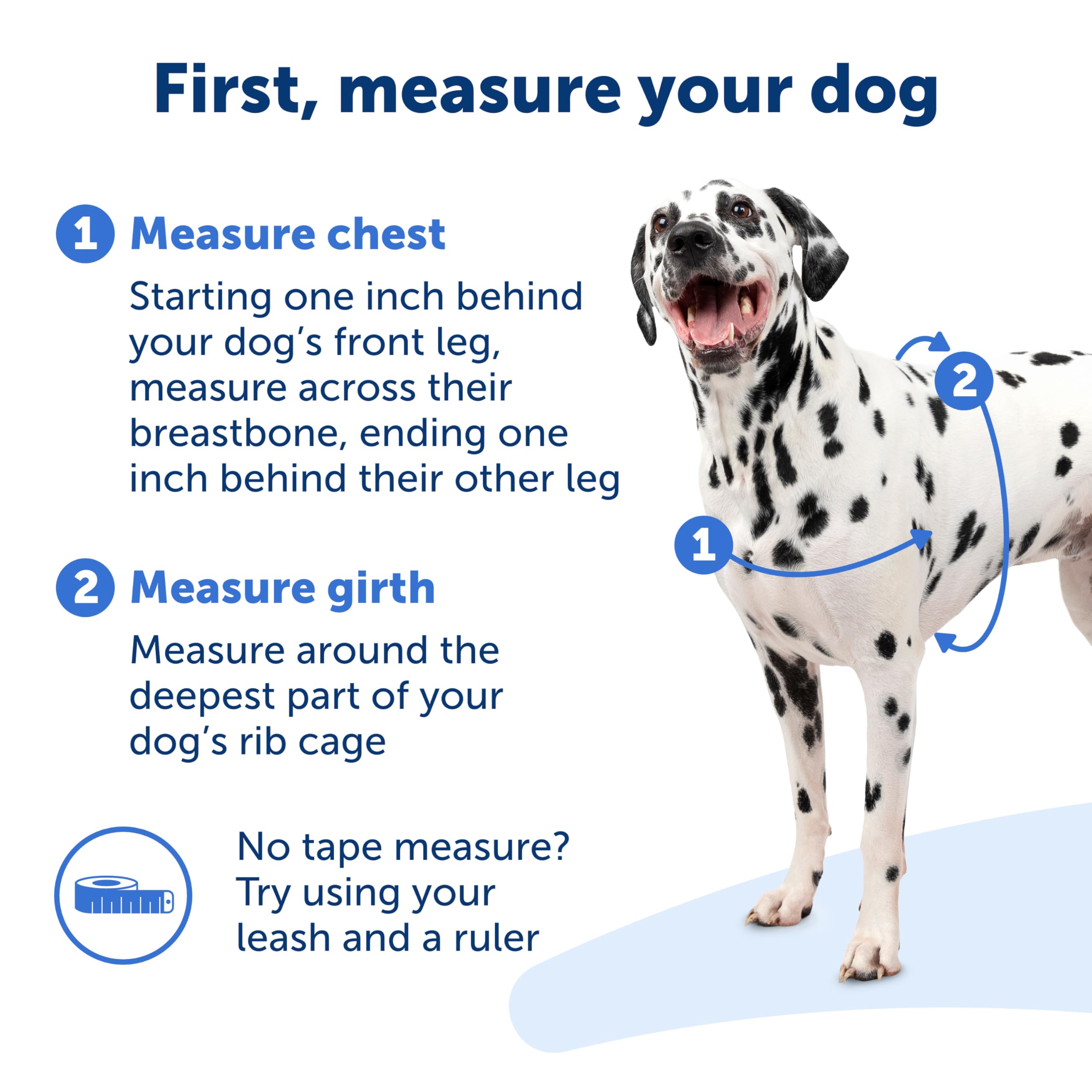 PetSafe Easy Walk No-Pull Dog Harness - Stop Pulling & Improve Leash Training - Comfortable Control for Small Dogs - Royal Blue/Navy Blue - Perfect for Walks, Hiking & Outdoor Adventures