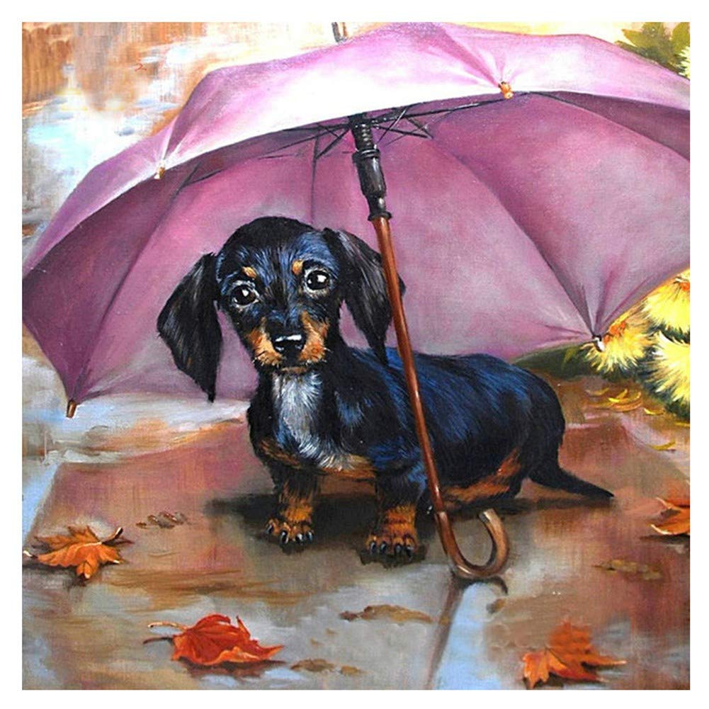 5D Diamond Painting Kit - Dachshund Dog Full Drill Round Crystal Rhinestone Art for Adults & Kids (30x48 Inch) | DIY Cross Stitch Embroidery Craft | Home Wall Decor, Gift Idea for Birthday & Christmas