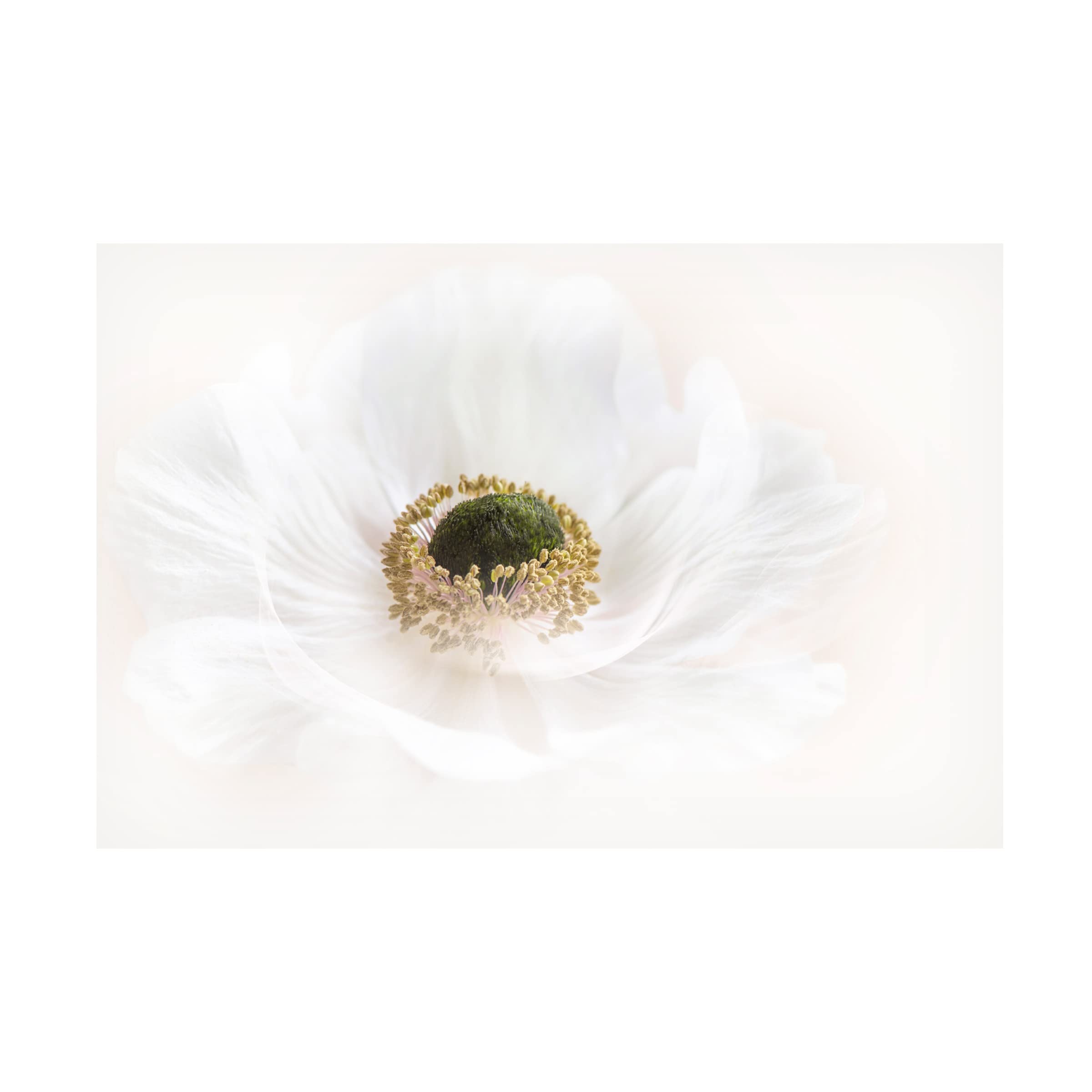 Jacky Parker 'Pure' Canvas Art Print - Modern Abstract Wall Decor for Living Room, Bedroom & Office - Trademark Fine Art Collection