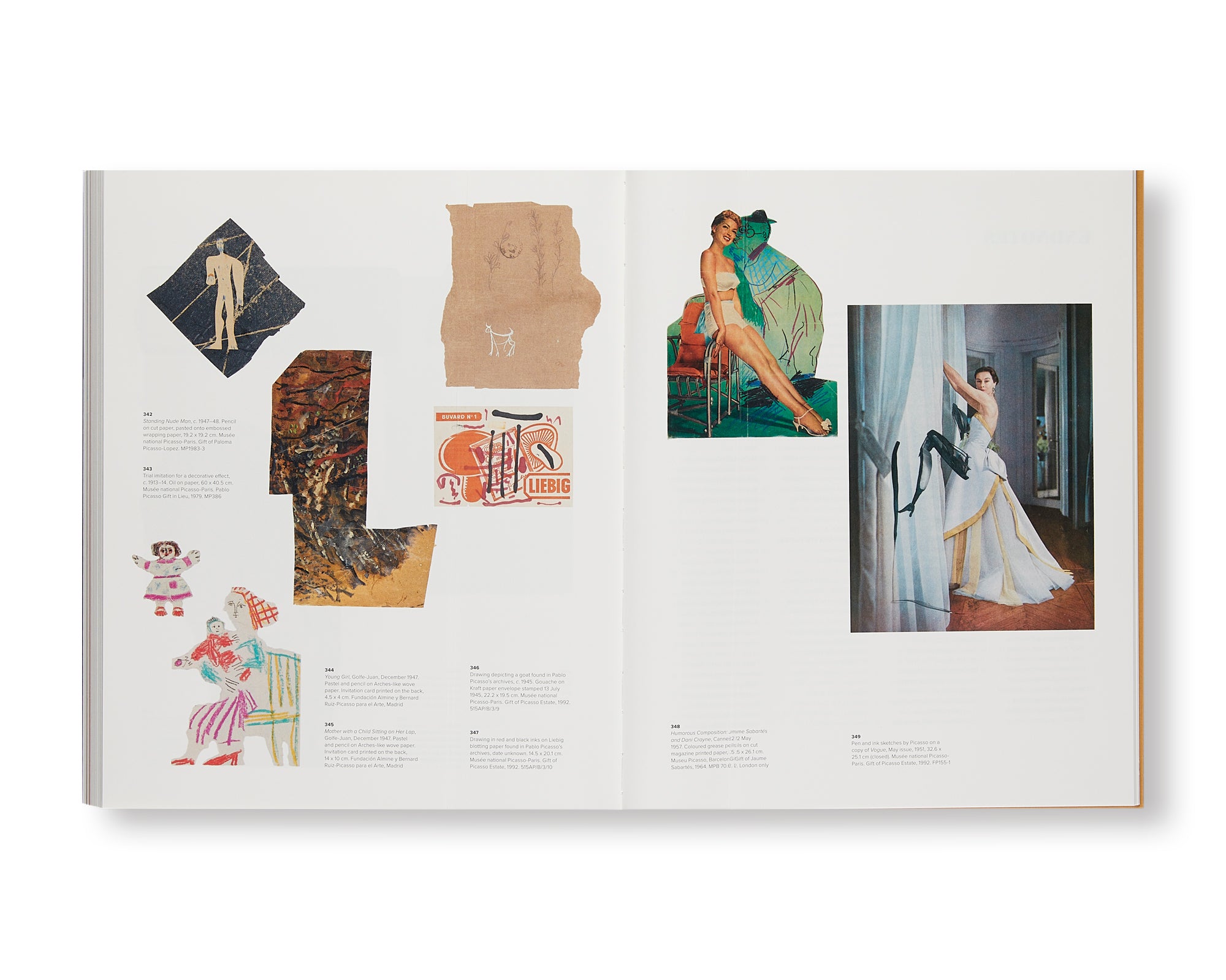 Picasso and Paper - Pablo Picasso Art Book | Explore Picasso's Paper Artworks for Home Decor & Gifts