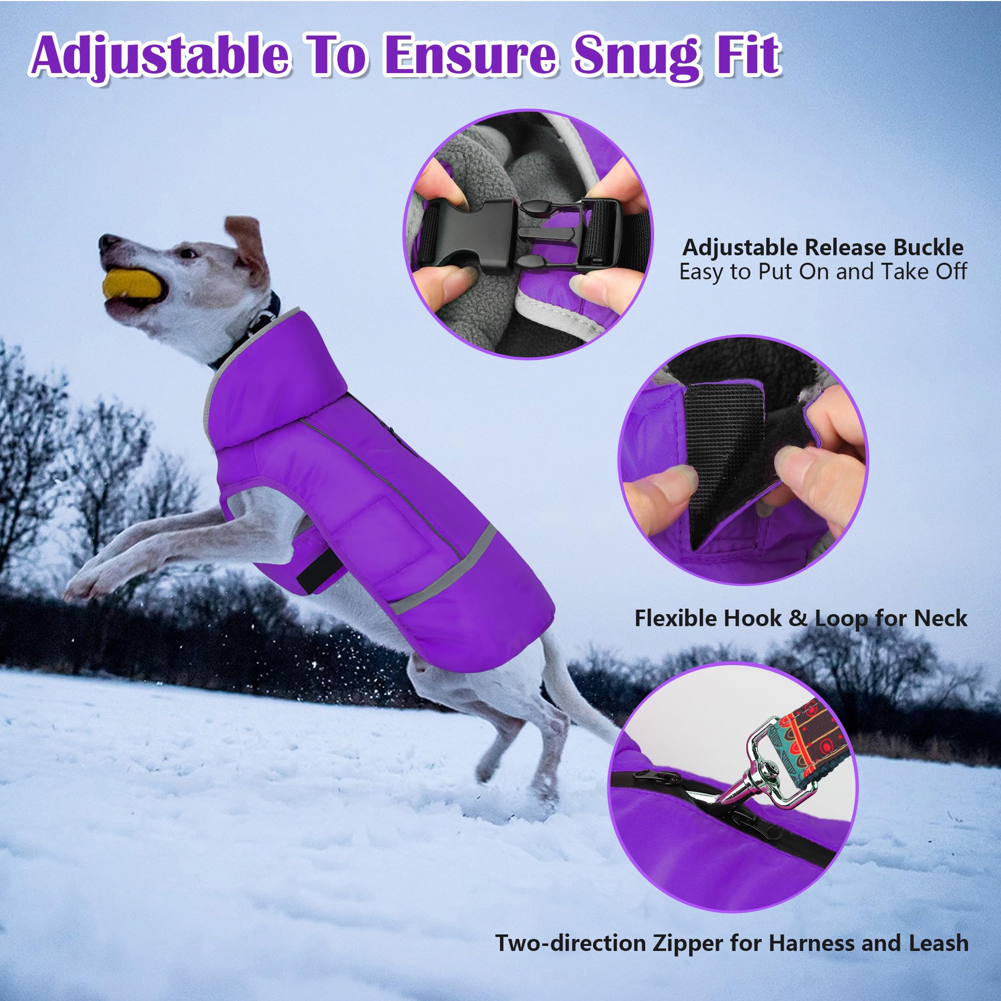 Waterproof Adjustable Reflective Dog Winter Coat with Buckle - Windproof Fleece Snow Jacket for Small Medium Large Dogs - Purple (M) - Ideal for Cold Weather Walks, Outdoor Adventures & Winter Protection