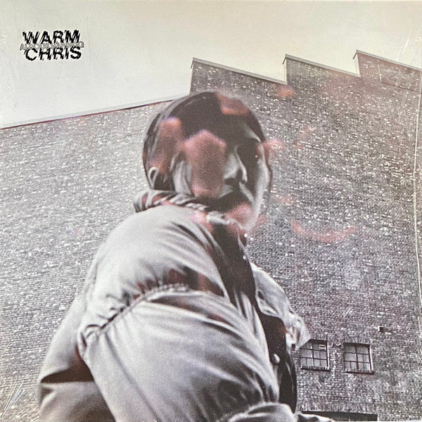 Aldous Harding - Warm Chris Vinyl LP Album (Near Mint NM/M Condition) - Perfect for Record Collectors & Indie Music Lovers