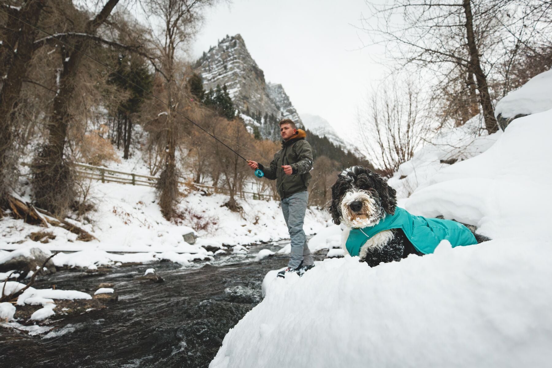 Ruffwear® Quinzee™ Insulated & Foldable Dog Jacket - Obsidian Black | Waterproof & Warm Winter Coat for Outdoor Adventures