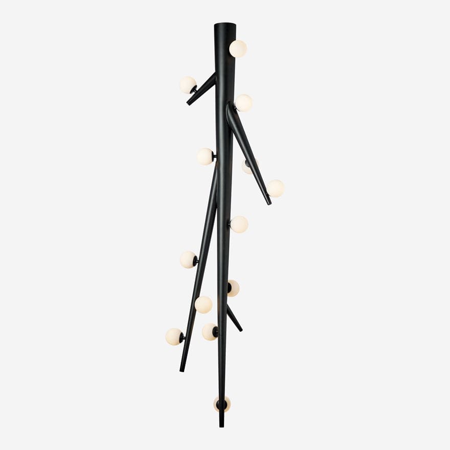 Thorn - Premium Quality Thorn for Gardening, Landscaping, and DIY Projects | Perfect for Home Decor, Fencing, and Crafting