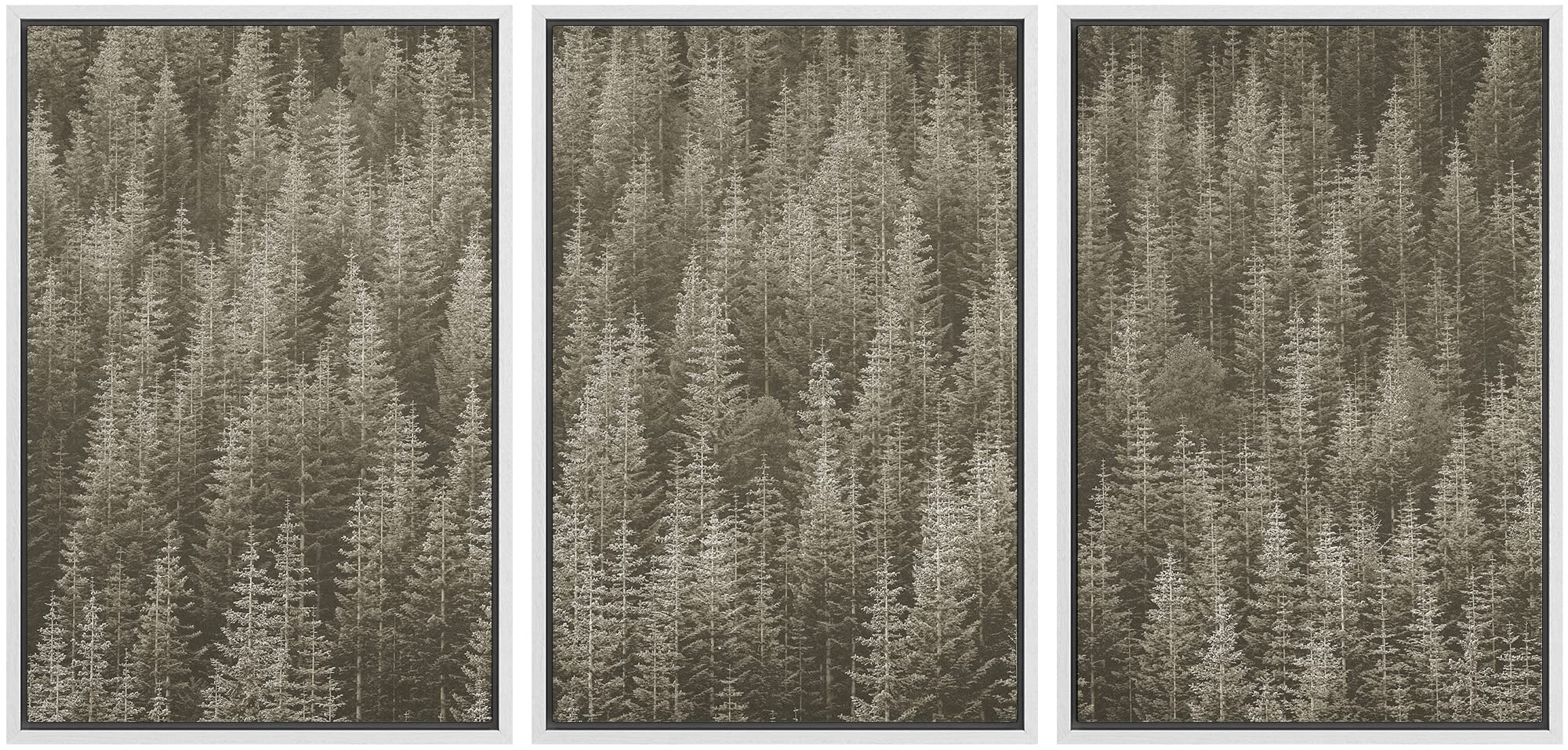 Framed Canvas Print Wall Art - Woodland Nursery Decor Set, Black & White Forest Valley Nature Wilderness Modern Art, Rustic Style for Living Room, Bedroom, Office - 16x24 Inches - Perfect for Home Decor, Gifts & Interior Design