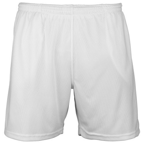 Arctic White