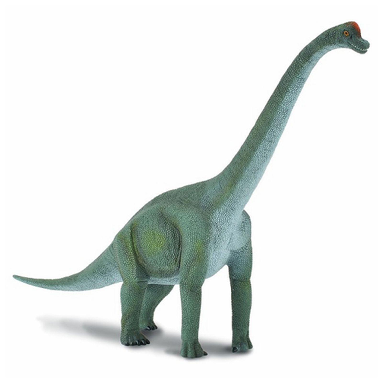 CollectA Brachiosaurus Dinosaur Figure 88121 - Realistic 12