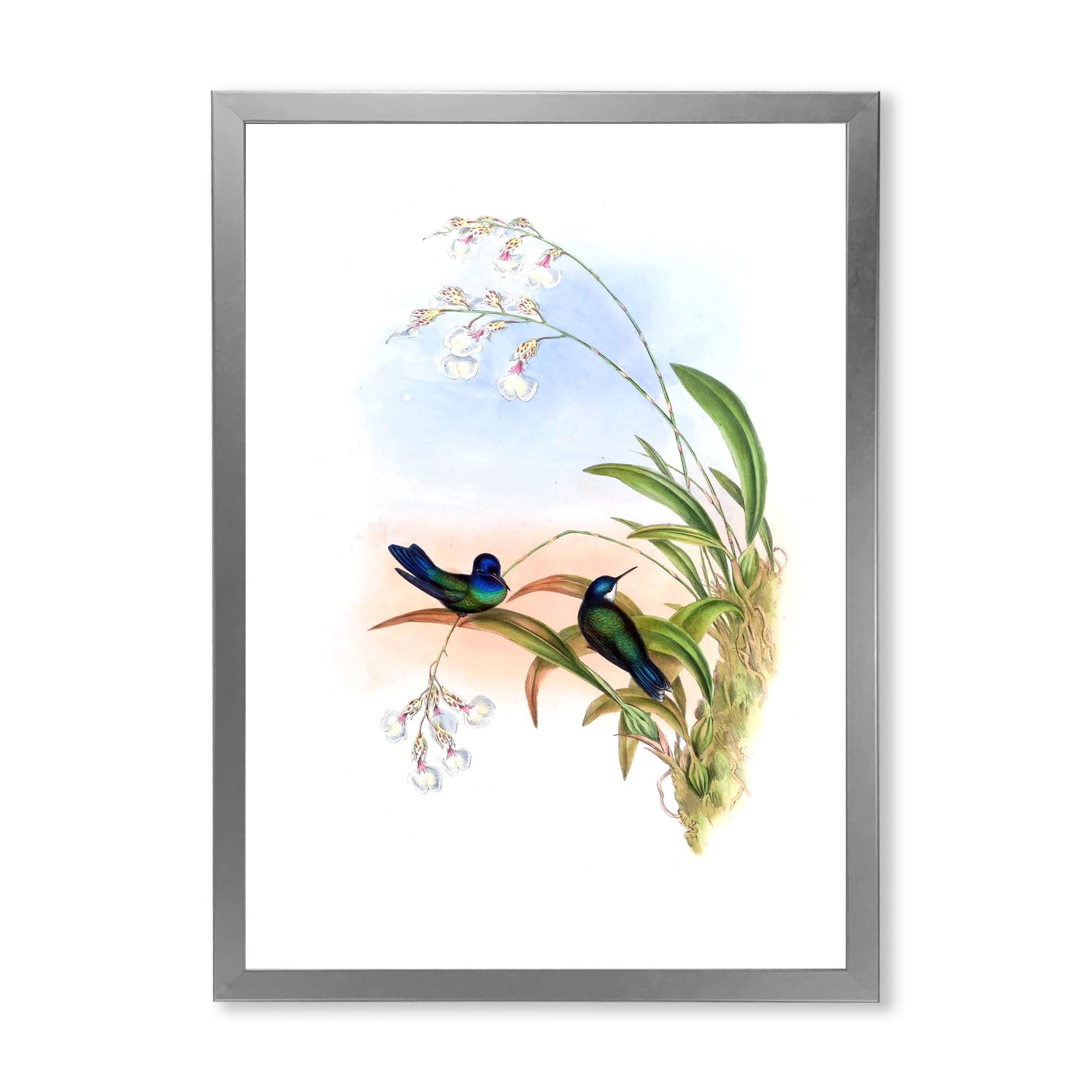 Vintage Hummingbird III Traditional Framed Wall Art - Hand-Painted Canvas Painting for Living Room, Bedroom & Office Decor - Home & Wall Decoration Gift Idea