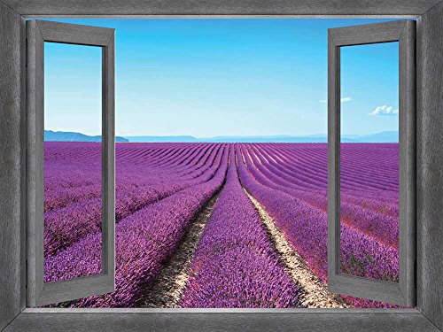 Field of Purple