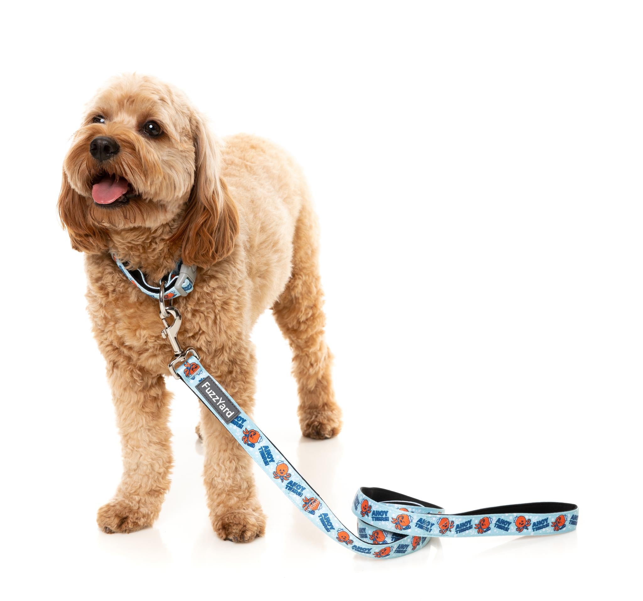 FuzzYard Ahoy There! Nautical Dog Collar - Adjustable Pet Collar with Boat Anchor Design for Small Medium Large Dogs - Perfect for Beach Walks, Boating & Summer Adventures