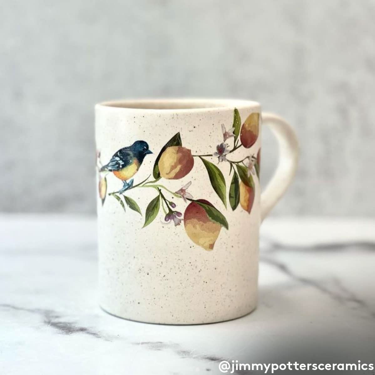 Ceramic Decals - Overglaze & Enamel Decals for Pottery - Lemon Pattern - Perfect for DIY Ceramic Painting, Home Decor, and Gift Making