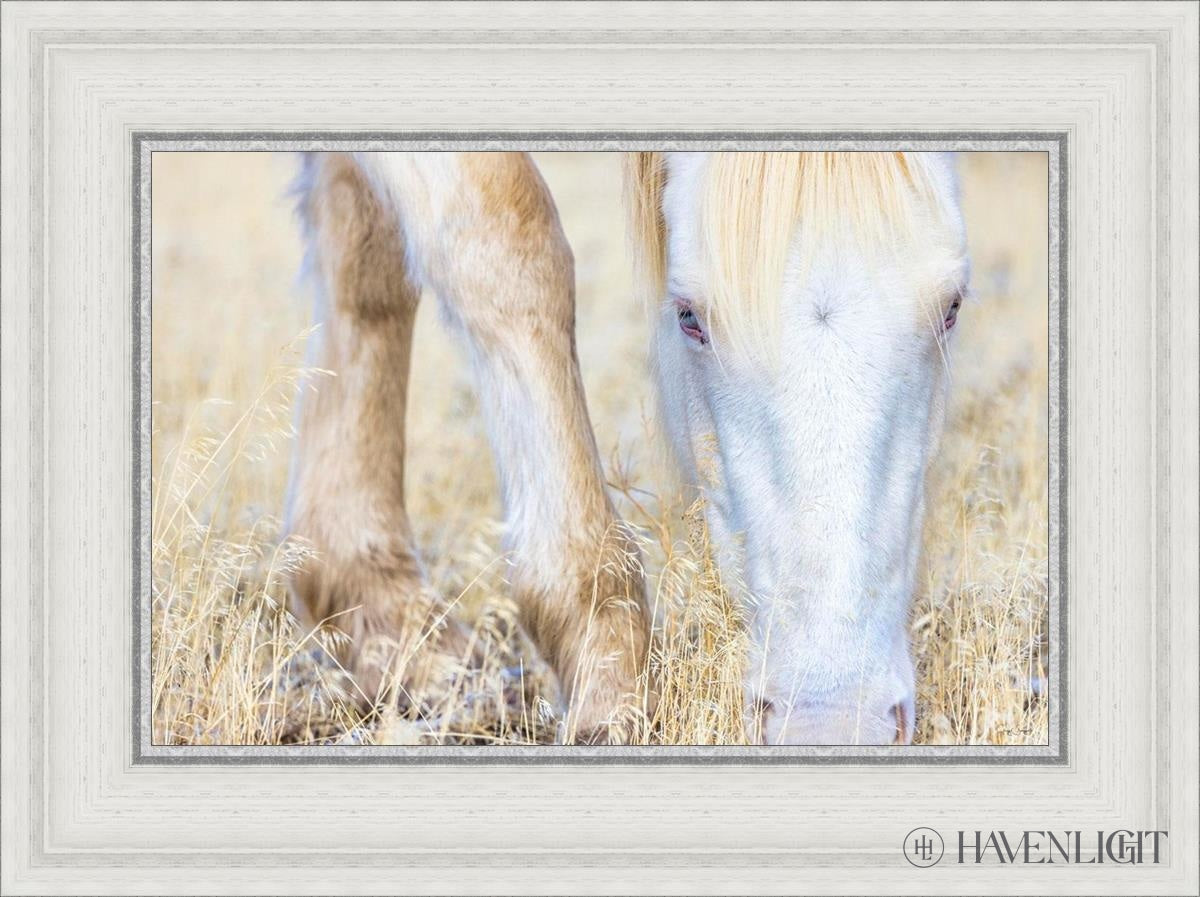 Dry Grass by Greg Sargent - Premium Handcrafted Home Decor for Rustic & Farmhouse Style - Perfect for Wall Art, Shelf Displays & Cozy Living Room Decor