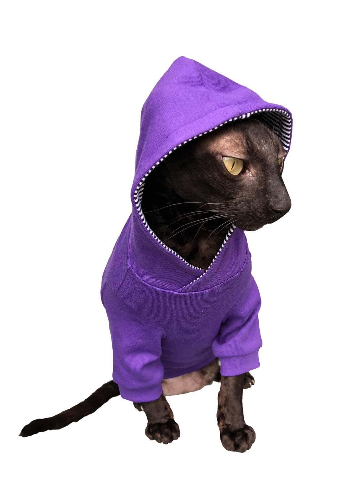 Purple Sphynx Cat Hoodie for Hairless Cats - Soft & Warm Pet Clothes Size M - Perfect for Indoor & Outdoor Winter Wear