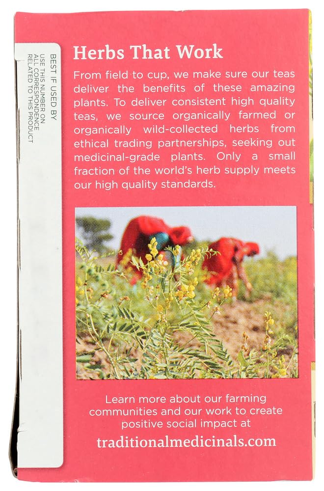Organic Mother's Milk Herbal Tea for Lactation Support - 12 Pack (192 Tea Bags) | Promotes Healthy Breast Milk Production | Nursing & Postpartum Wellness | Ideal for Breastfeeding Moms & New Mothers
