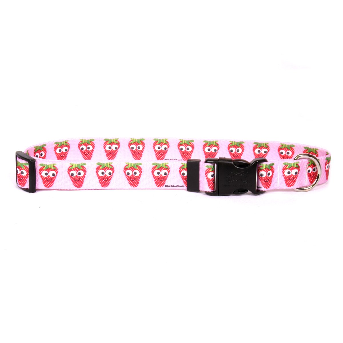 Sweet Strawberries Dog Collar with ID Tag - Adjustable 14-20