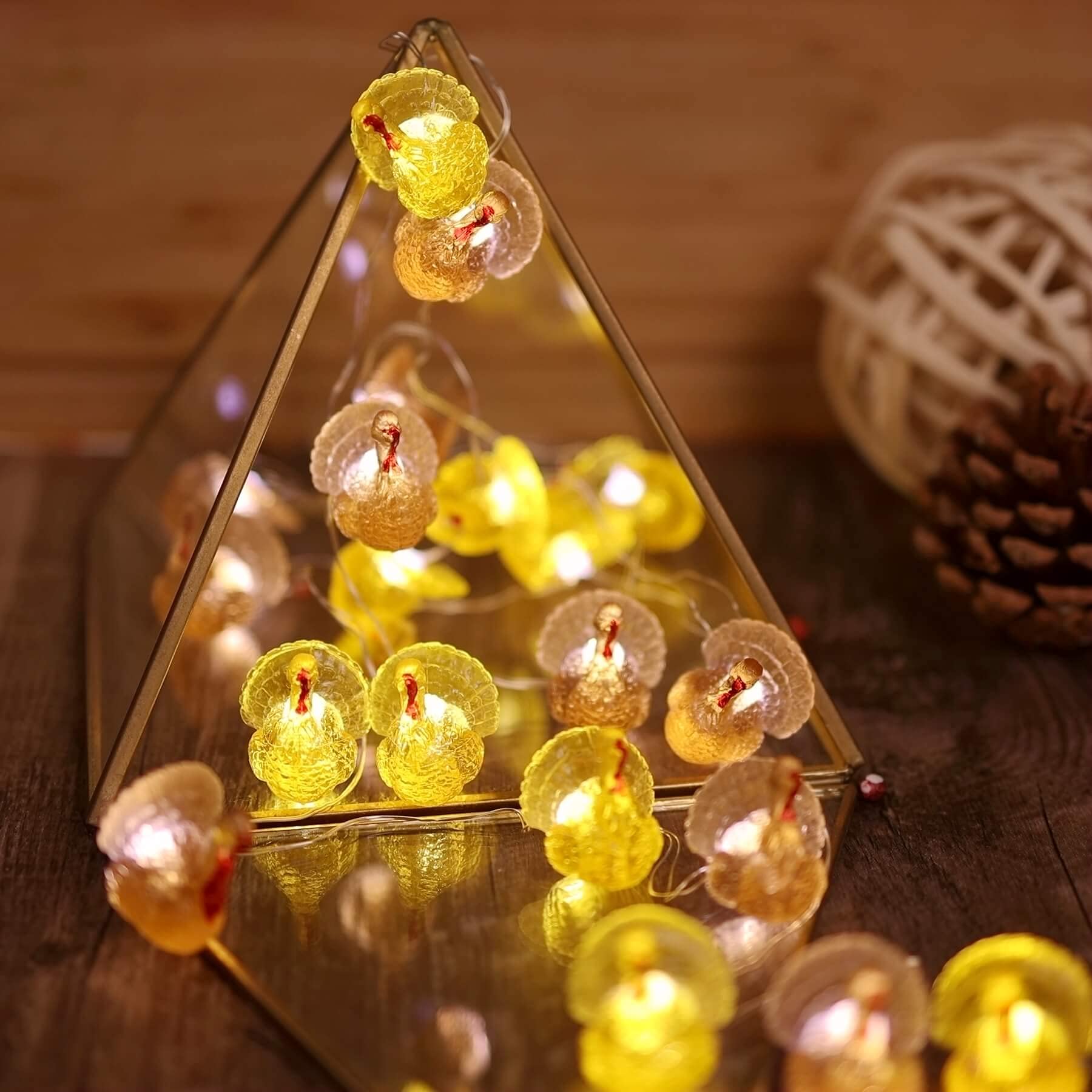 Thanksgiving String Lights - 20 LED USB Powered Fairy Lights with Remote, 8ft Fall Turkey & Forest Decor for Bedroom, Farmhouse, Holiday Decoration | Perfect for Thanksgiving Dinner, Christmas Tree & Cozy Home Ambiance