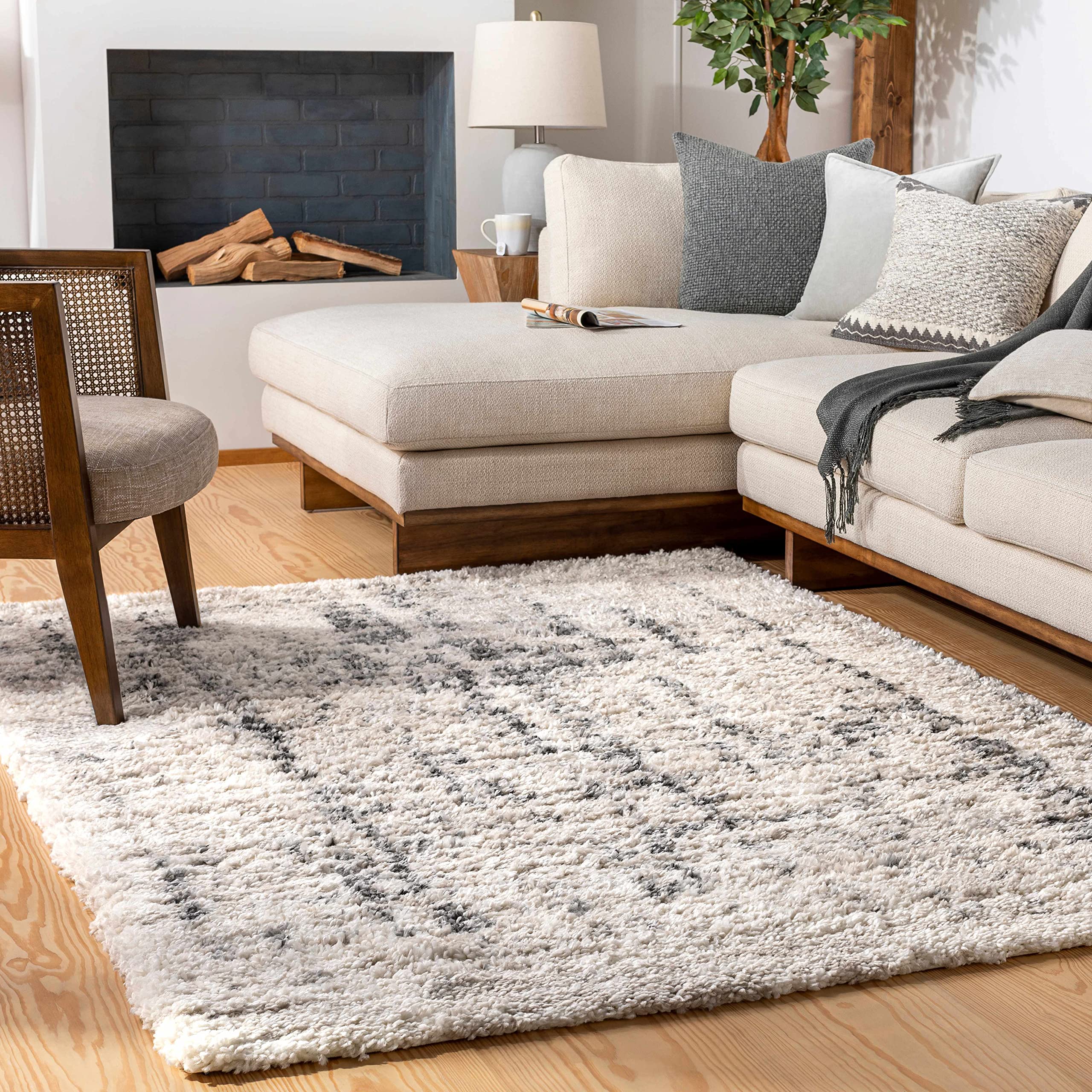 Modern Plush Pile Hauteloom Campion Area Rug for Living Room & Bedroom - Soft Beige & Black - 5'3