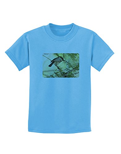 Aquatic-blue