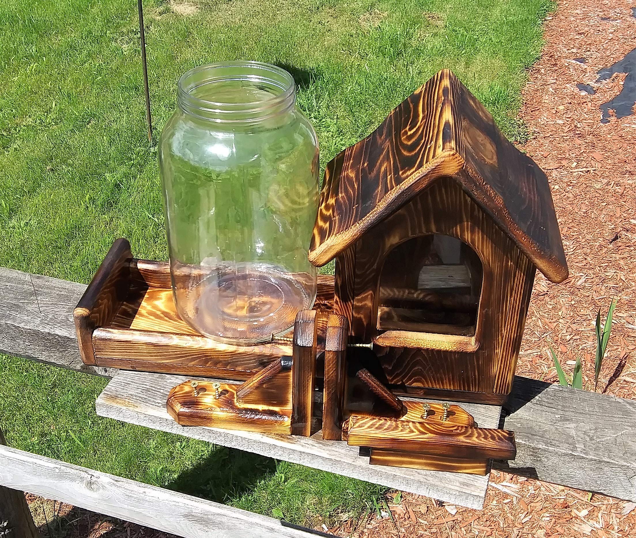 Cedar Wood Squirrel Feeder - Gallon Glass Jar with Fence Mount - Outdoor Wildlife Feeding for Backyard, Garden & Patio