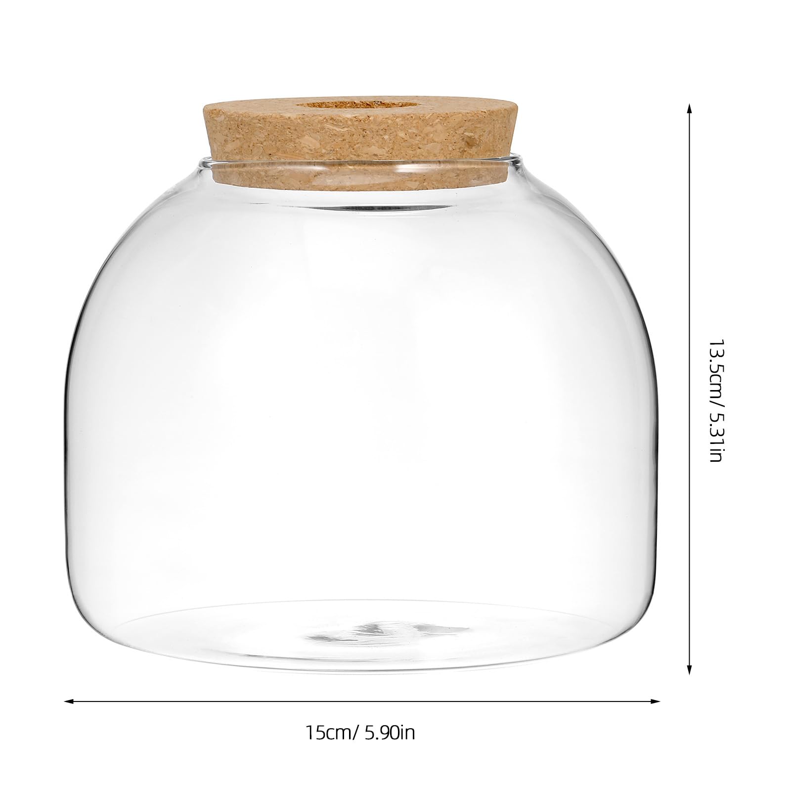 POPETPOP Glass Fish Tank with Cork Lid - Plant Terrarium & Tabletop Succulent Planter Aquarium for Betta Fish | Hydroponic Plants Terrarium for Home & Office Decor | Perfect for Desk Decor, Wedding Centerpieces & Gift Ideas