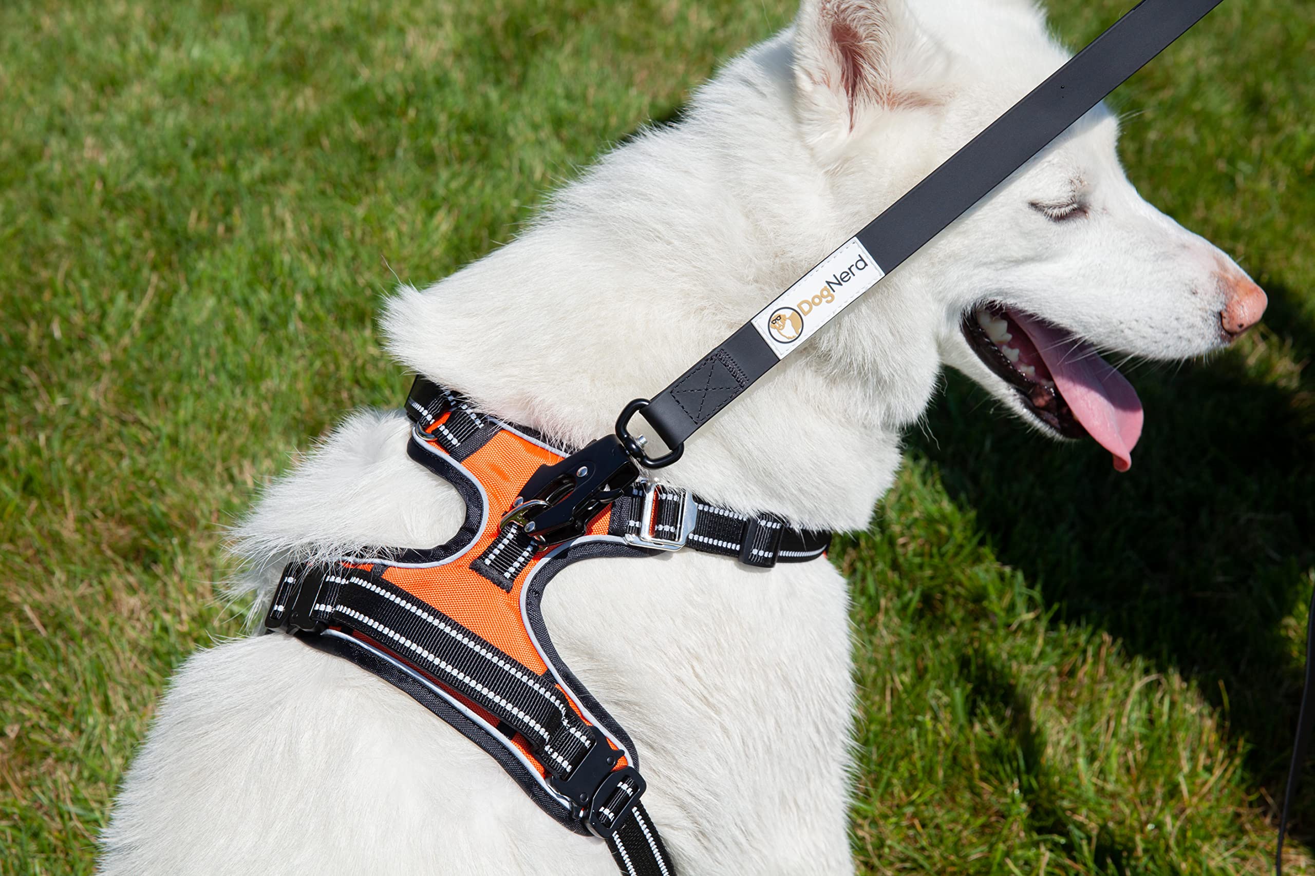 6FT Heavy Duty Silicone Dog Leash with Quick Release Locking Carabiner - Waterproof Tactical Leash for Medium & Large Pulling Dogs, Safety Control Training Leash for Walking, Running, Hiking (6FT Black)