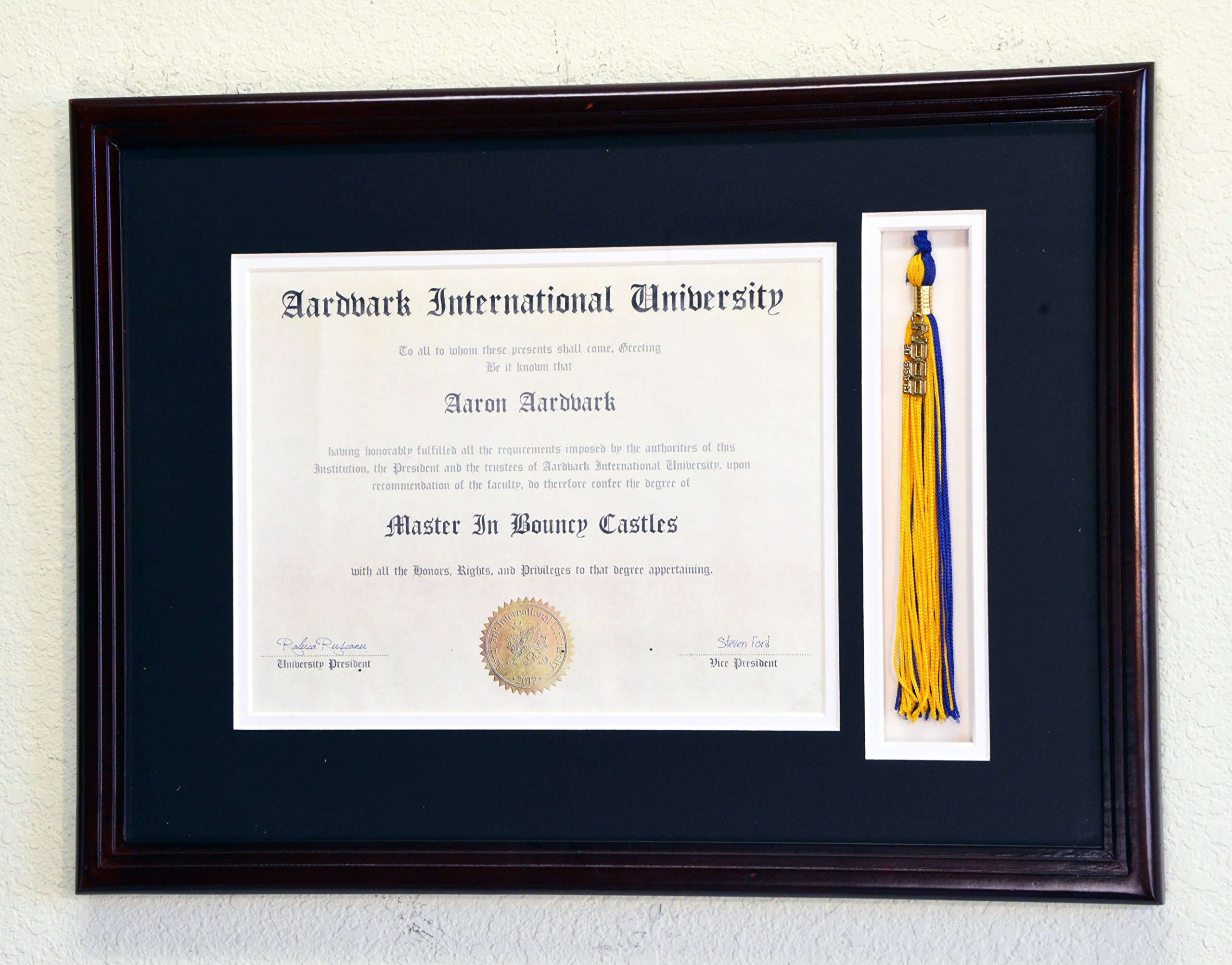 11 x 8.5 Graduation Diploma & Tassel Display Frame with Custom Matting Colors - Perfect for Commencement, Office Decor & Academic Achievement Showcase (Black/White/Cherry Options)