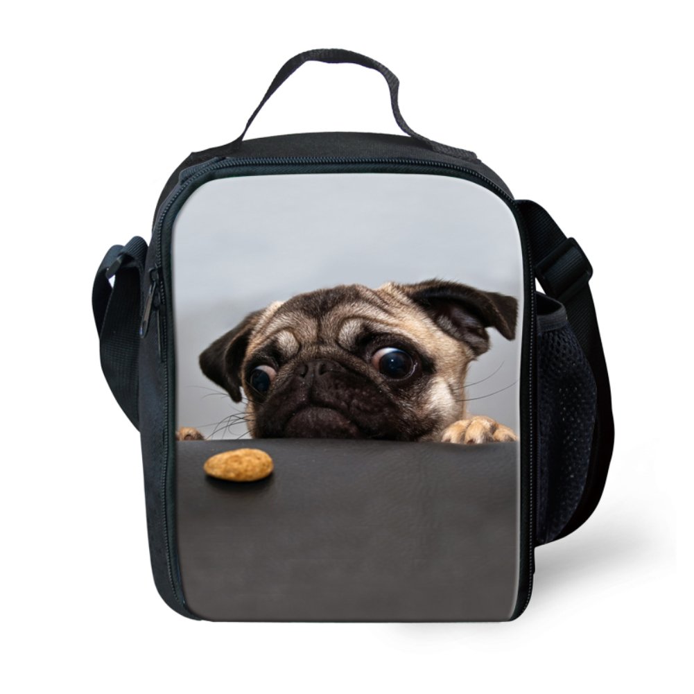 Funny Pug Dog Lunch Bag for Teens with Bottle Holder - School & Picnic Use