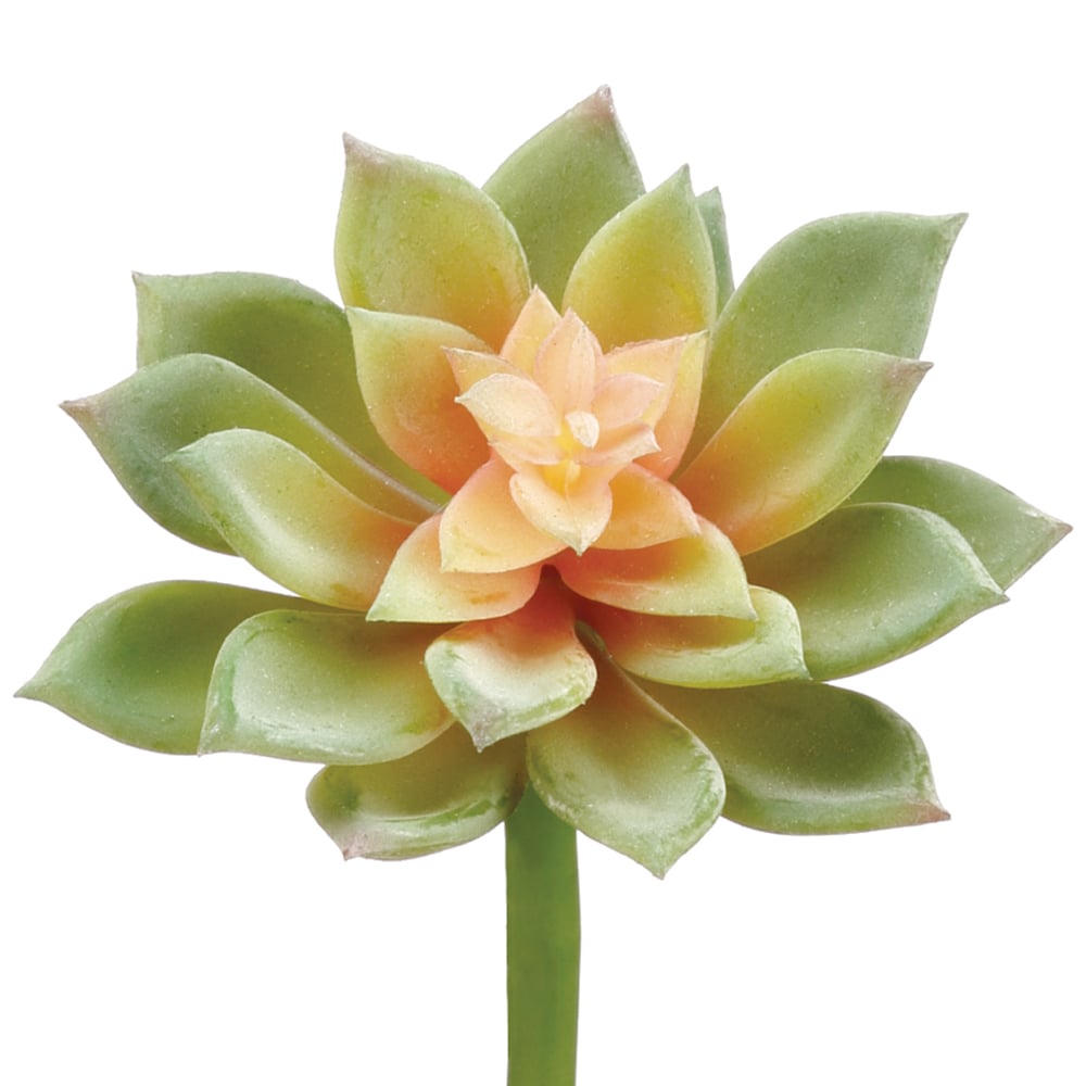 10Hx4.3W Soft Echeveria Artificial Succulent Stems - Green/Mauve Fake Plants (Pack of 24) - Perfect for Home Decor, Wedding Centerpieces, and DIY Floral Arrangements