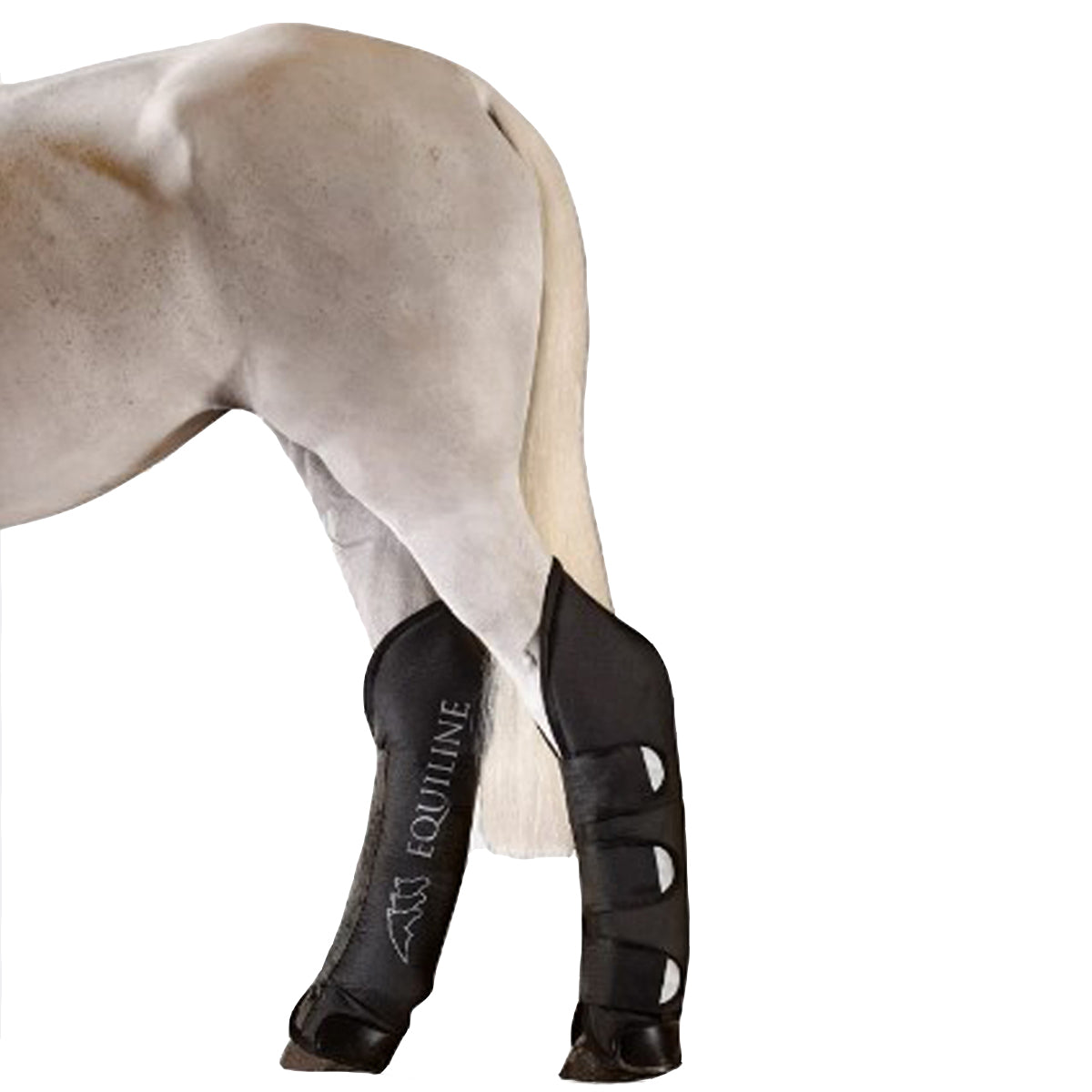 Equiline Rex Travel Boots for Horses - Durable & Comfortable Horse Riding Boots for Trail Riding, Training & Show Jumping - Perfect for Equestrian Travel & Outdoor Adventures