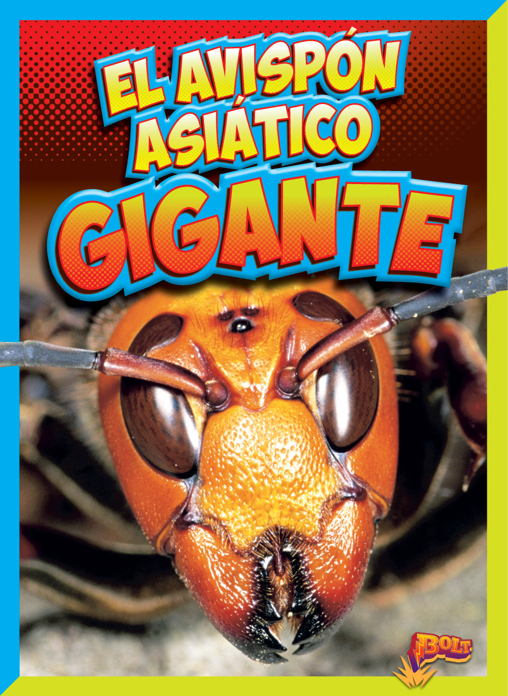 Giant Asian Hornet - Vespa Mandarinia - Natural Pest Control for Gardens & Outdoor Spaces