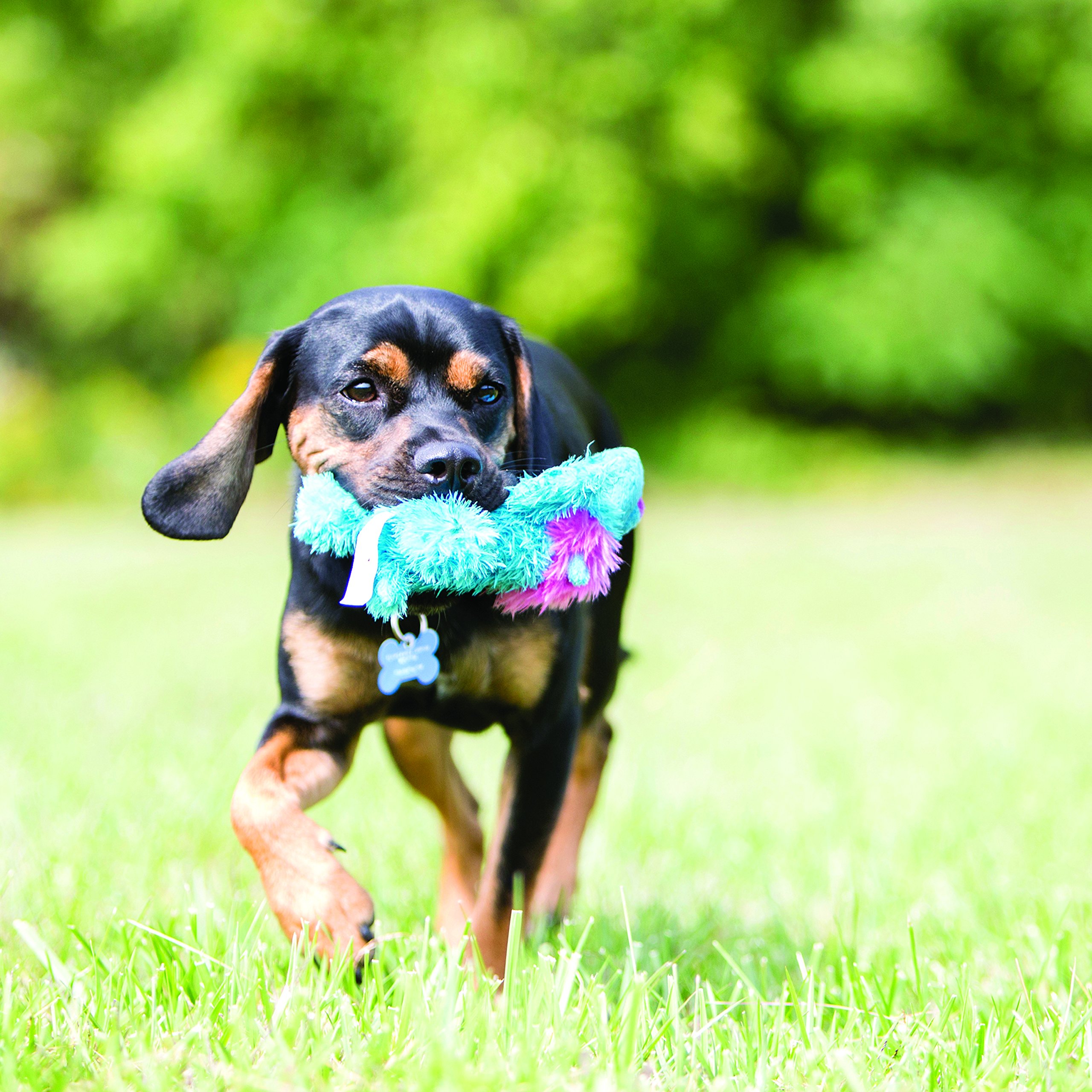 KONG Elmer Elephant Cozie Dog Toy for Small Dogs - Soft & Durable Plush Chew Toy for Puppies and Small Breeds - Perfect for Cuddling, Playtime, and Teething Relief