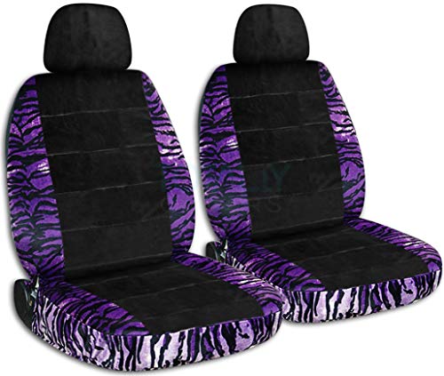 Purple Snow Tiger & Black