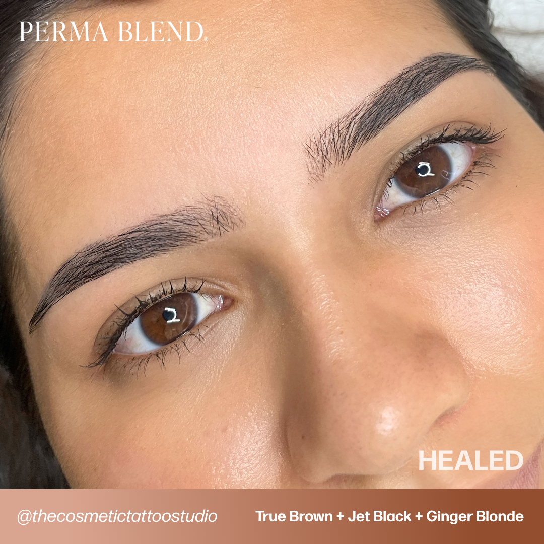 Perma Blend Jet Black Tattoo Pigment - Professional Tattoo Ink for Artists, Permanent Makeup & Body Art - Ideal for Eyebrows, Eyeliner & Cosmetic Tattooing