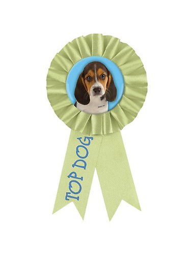 Premium Party Pups Award Ribbons for Dogs - Colorful Pet Contest & Celebration Ribbons - Perfect for Dog Shows, Birthday Parties, and Training Rewards
