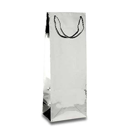 Premium Metallic Silver Euro Bags for Packaging - 100 Count (5