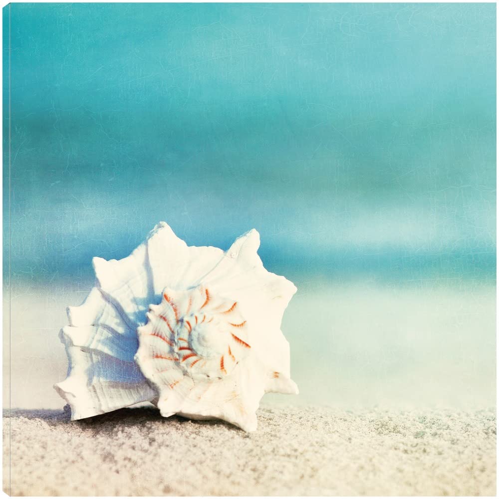 Paradise Canvas Wall Art by Carolyn Cochrane - 32x32 Inch Ready to Hang Painting for Living Room, Bedroom, Office Decor | Modern Abstract Artwork for Home & Commercial Spaces