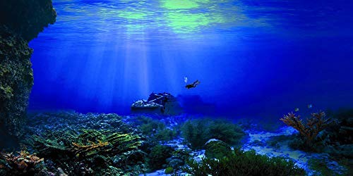 Seabed Shipwreck Aquarium Background Poster - HD Fish Tank Decoration Underwater Landscape Backdrop 96x30 Inches (244x76cm) - Perfect for Saltwater & Freshwater Tanks, Home or Office Aquarium Decor