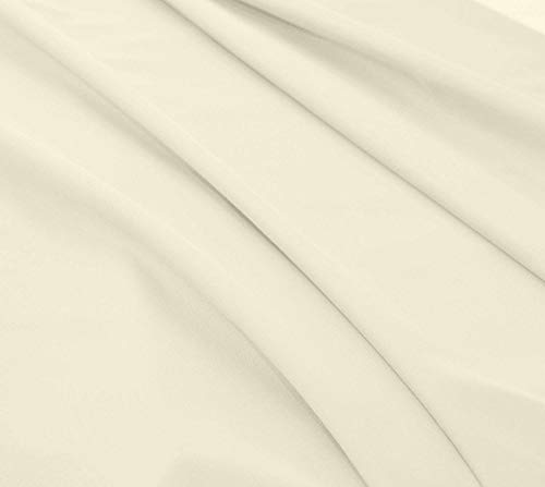Ivory Solid