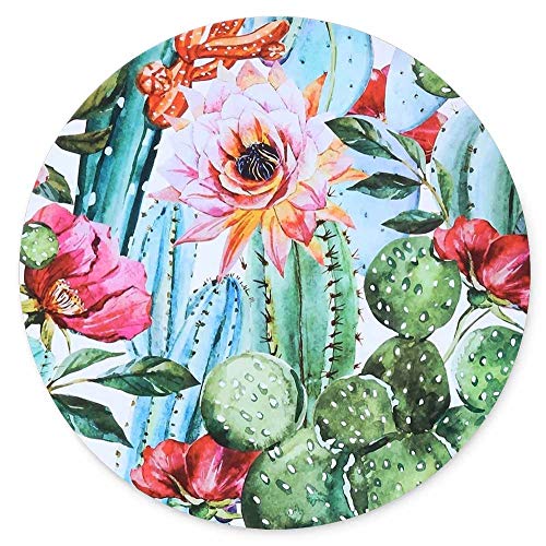 Beautiful Cactus Flower