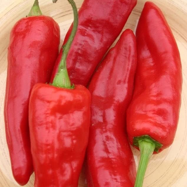 Marconi Red Sweet Pepper Seeds - 1/4 Pound Heirloom Vegetable Seeds - Non-GMO, Easy to Grow & Maintain for Container Gardening - Perfect for Home Gardens, Raised Beds & Urban Farming