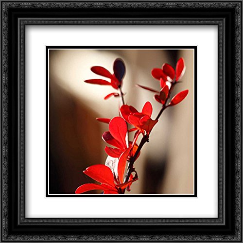 Rita Crane Red Leaves II - 15x15 Black Ornate Framed Double Matted Museum Art Print - Perfect for Living Room, Bedroom & Office Wall Decor