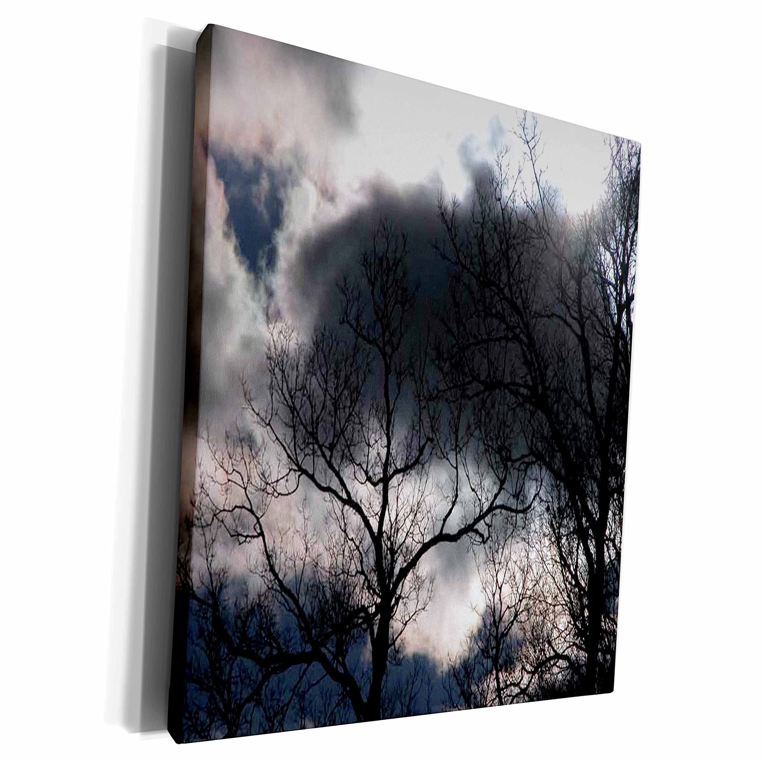 3dRose Storm Trees Photography Museum Grade Canvas Wrap - Premium Wall Art for Living Room, Bedroom & Office Decor