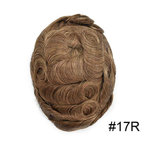 17R# BROWN/BLONDE MIX WARM TONE-120% medium light to medium density