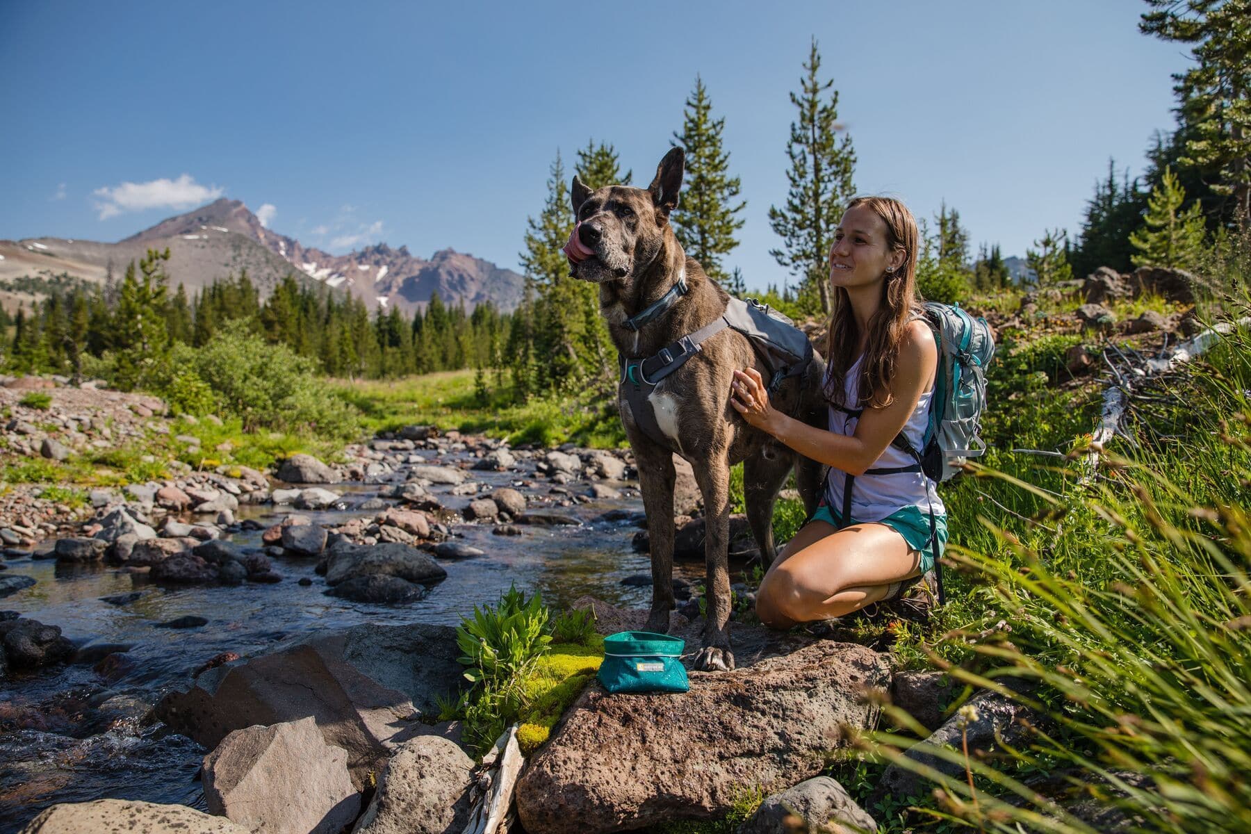Ruffwear Minimalist Switchbak Dog Harness in Red Sumac - Lightweight & Durable for Hiking, Running & Outdoor Adventures