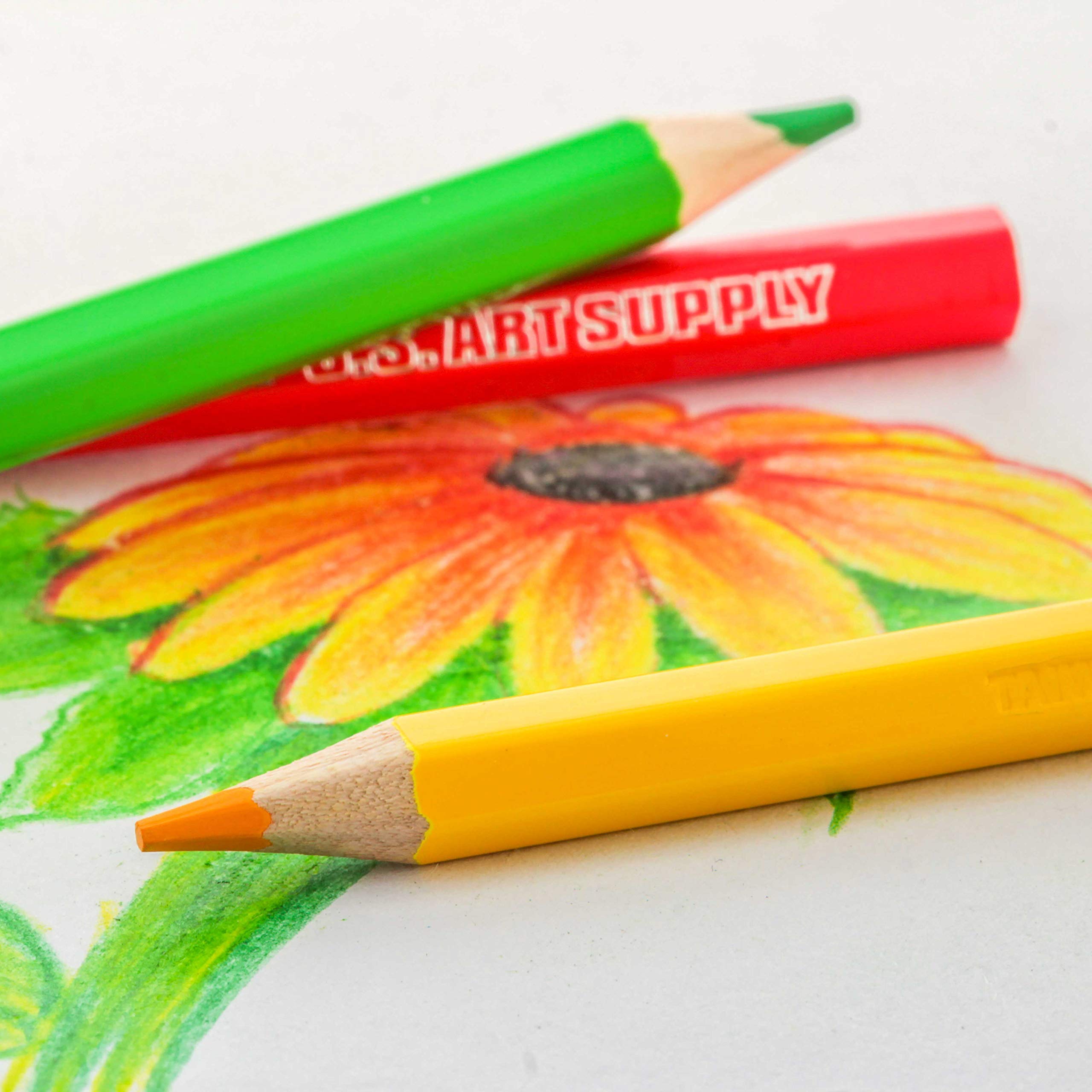 US Art Supply 50-Piece Artist Grade Colored Pencils with 2 Premium Sketch Pads (11