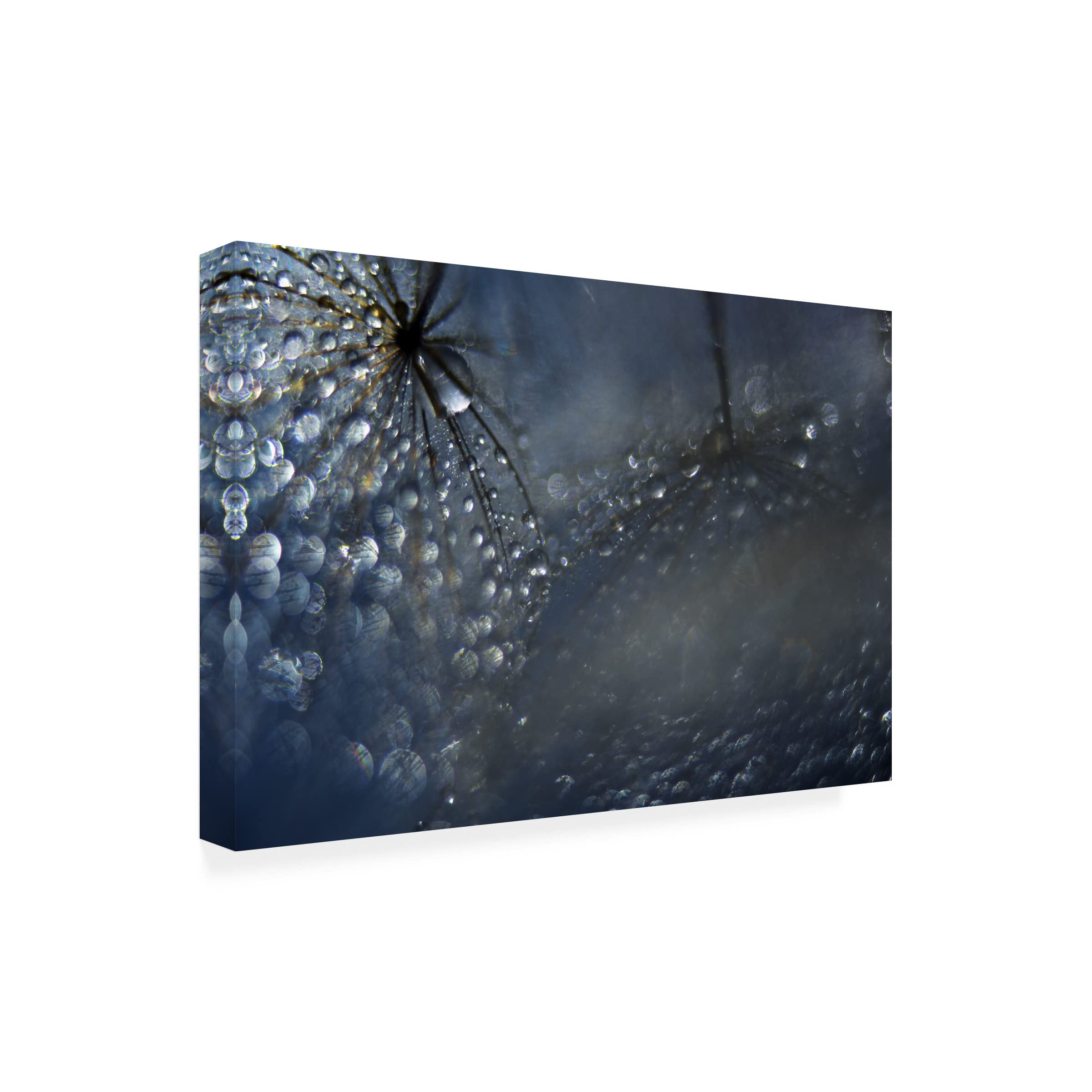 Heidi Westum 'Reflections Of A Late Evening' Canvas Wall Art Print - Modern Home Decor for Living Room, Bedroom & Office