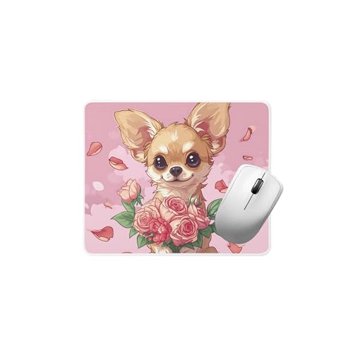 Adorable Chihuahua
