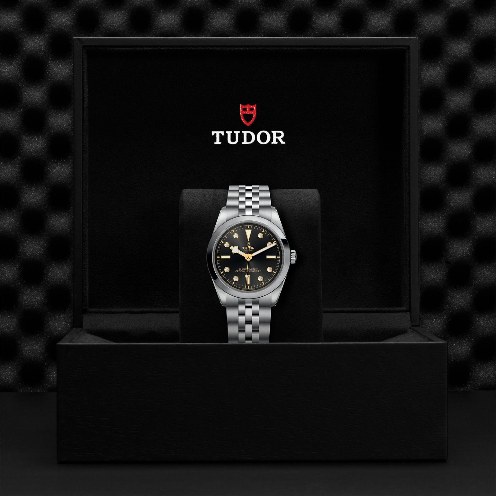 Black Bay One 36mm Automatic Watch for Men - Luxury Stainless Steel Dive Watch with Date - Perfect for Business, Casual Wear & Water Sports